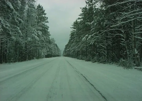 Blinker Optional: A Survival Guide to the Michigan Driving Experience