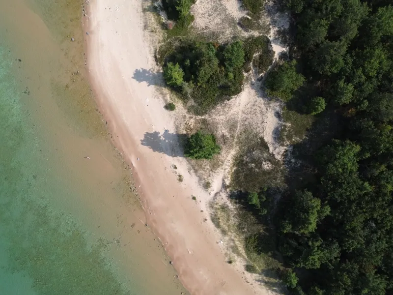 Born on the Water: Why Michigan's Lake Life Is a Culture, Not Just a Weekend